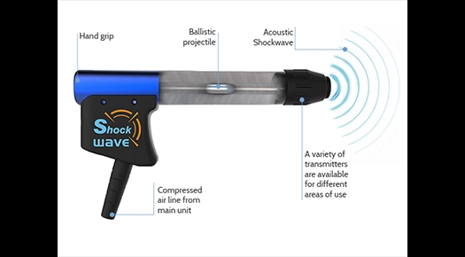 Radial Shockwave and ultrasound therapy