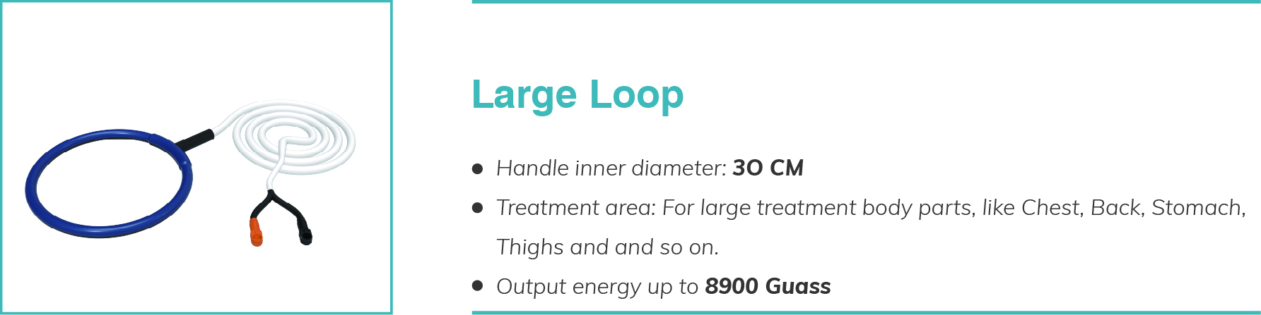 large-loop.jpg