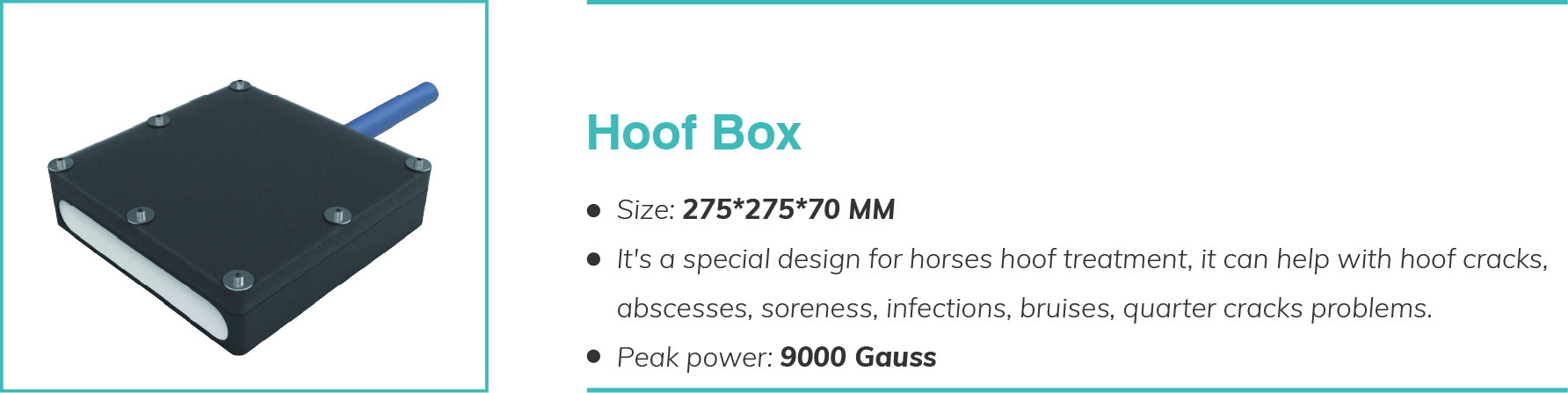 hoof-box.jpg