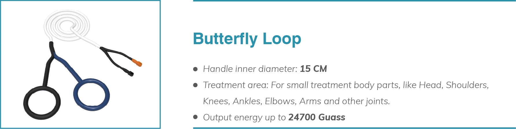 Butterfly-loop.webp