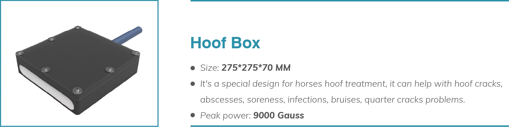 hoof-box.webp