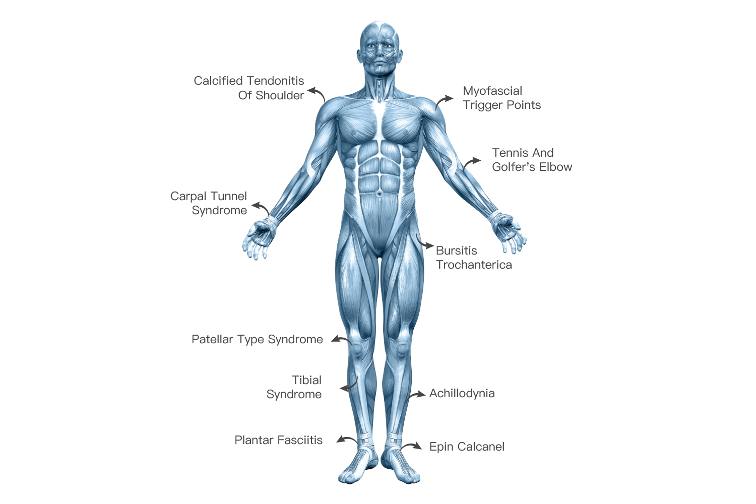 magnetic-physio-therapy.webp