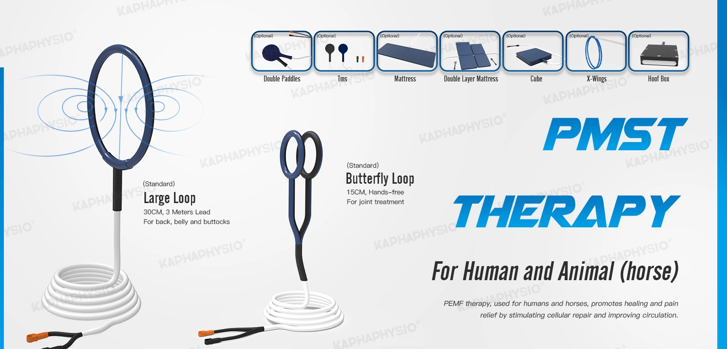 Pulse-electromagnetic -field-therapy (2).webp