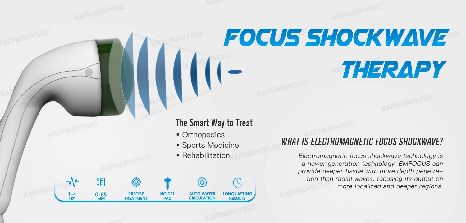 EMFOCUS (2).webp